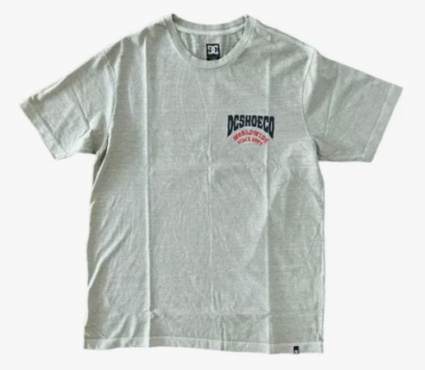 Camiseta Dc Shoes Defiant Caqui