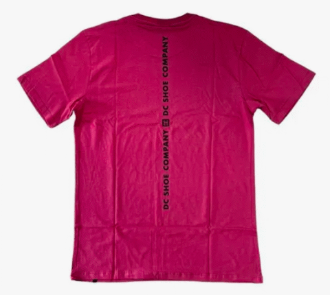 Camiseta Dc Shoes Minimal Square Telha - Image 2